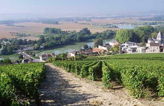 Le Clos Corbier Mareuil-sur-Ay Eksteriør bilde
