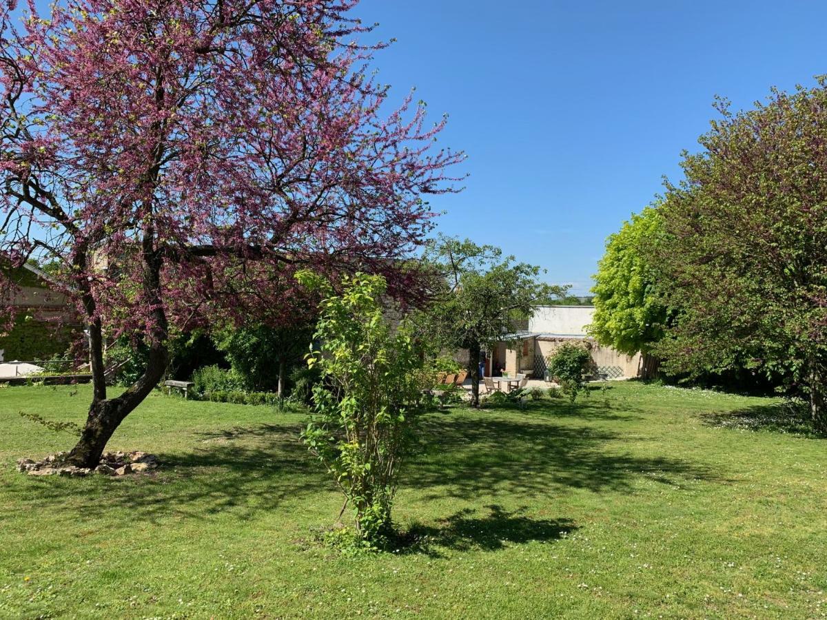Le Clos Corbier Mareuil-sur-Ay Eksteriør bilde